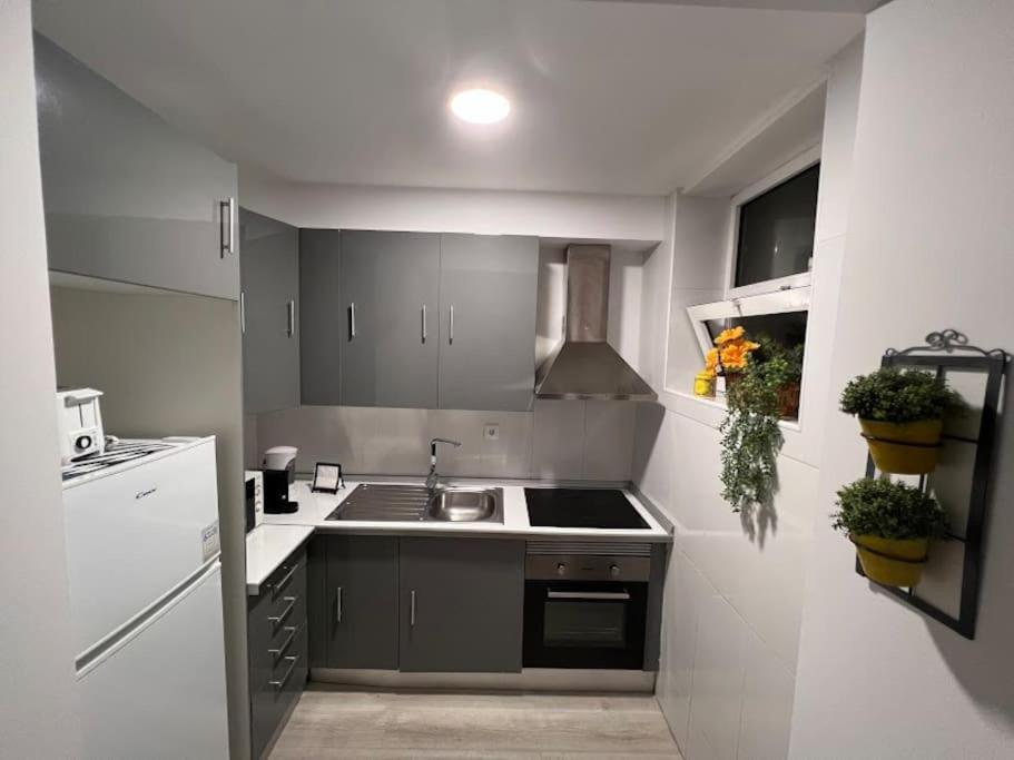 Opo - Fantastic With Garden Apartment Porto