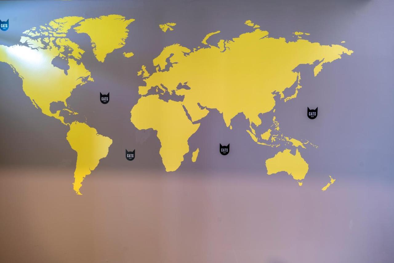 Cats
