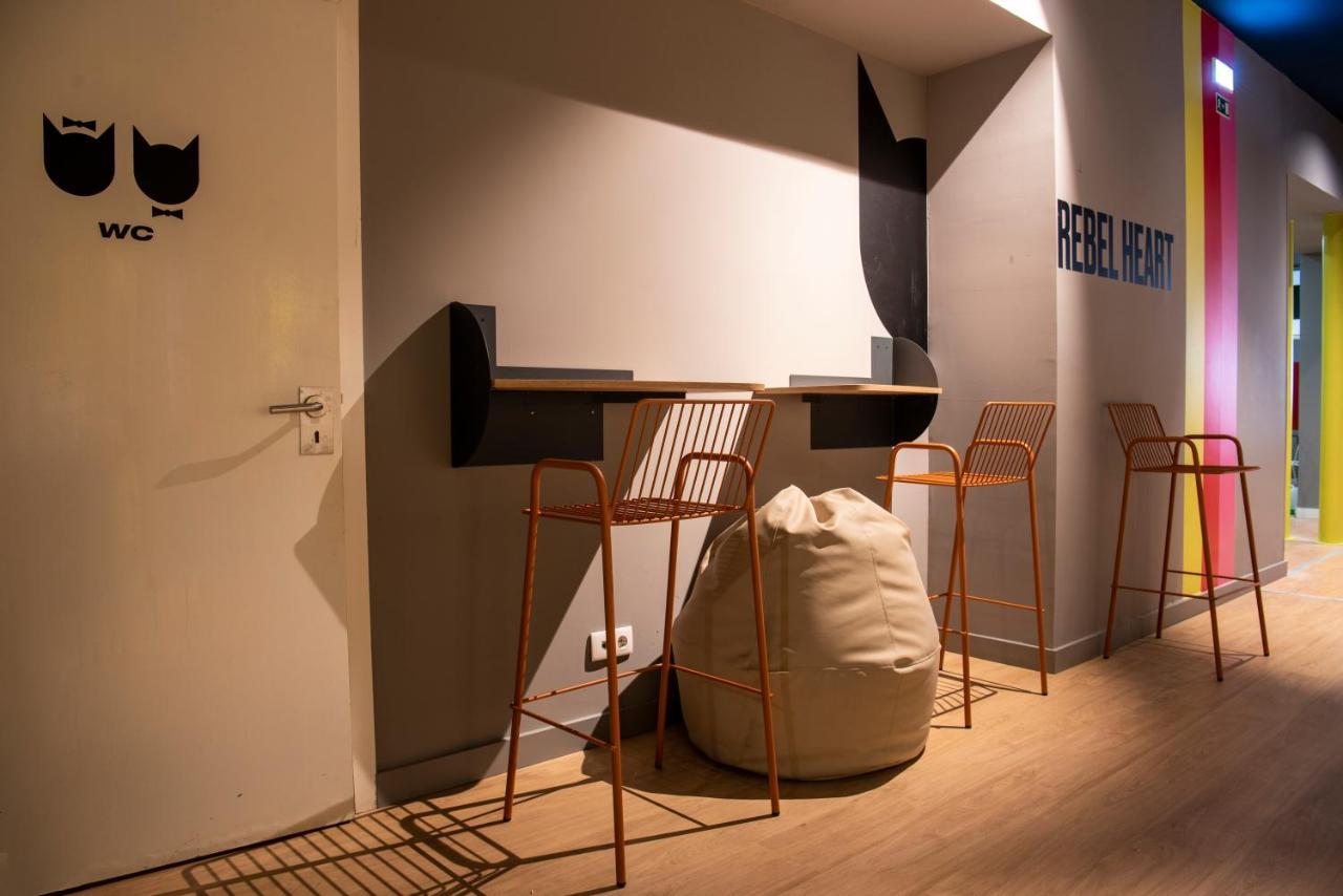 Cats Hostel