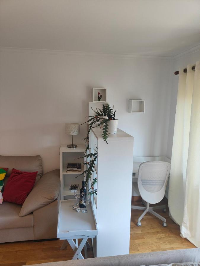 Cosy Sunny Flat Between Center And Porto