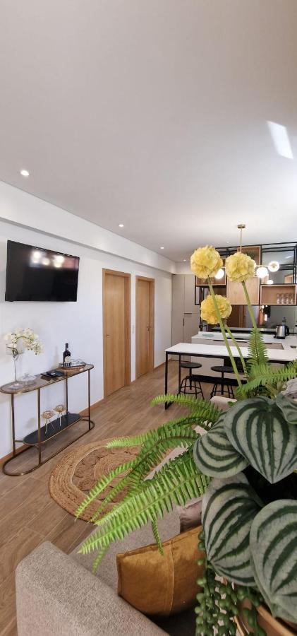 Apartamento Alma Invicta Alegria Porto