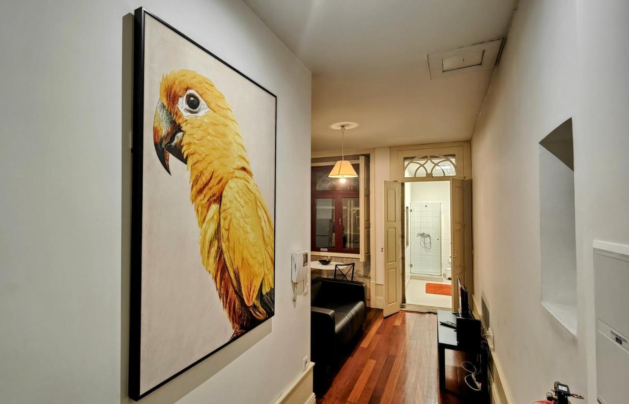 Apartment Discovery | Porto-flores Porto