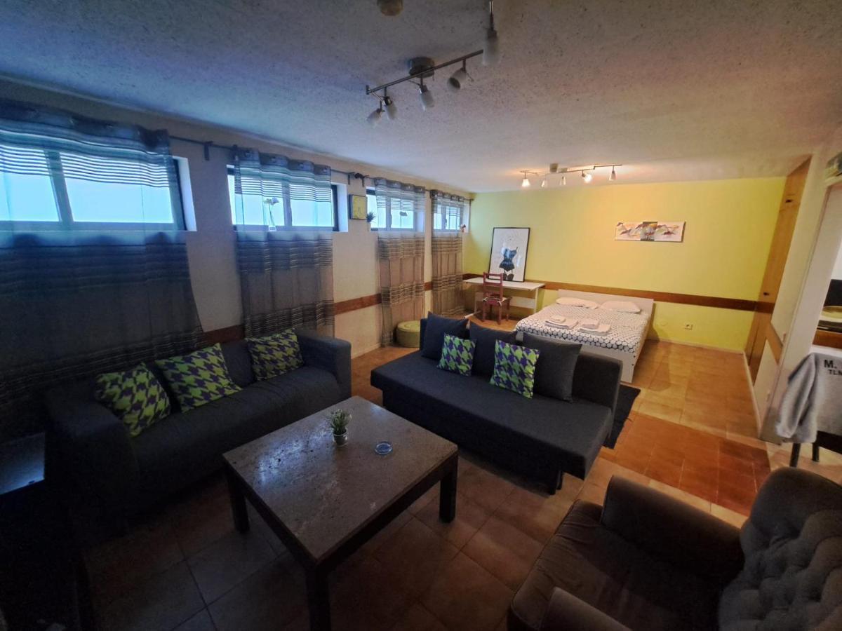 Spacious Economic Center Flat *