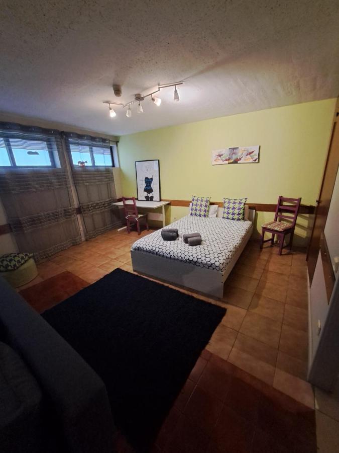 Spacious Economic Center Flat Apartment *
