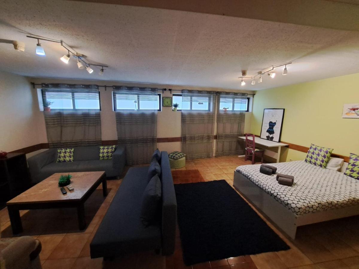 Spacious Economic Center Flat Apartment *