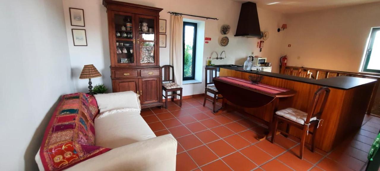 Casa Dos Bisavos- Slow Down Na Rota Do Romanico Vakantiehuis Porto