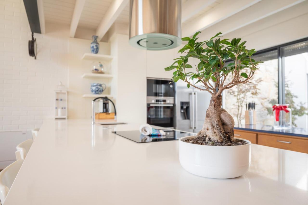 Villa Loft In