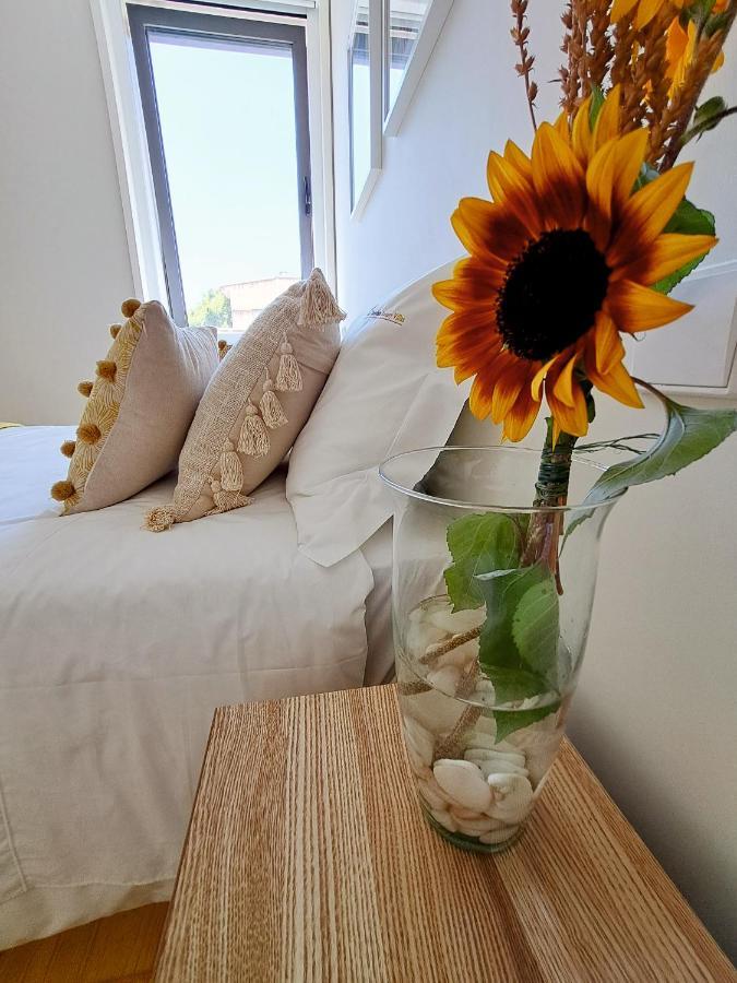 Boavista Luxury *