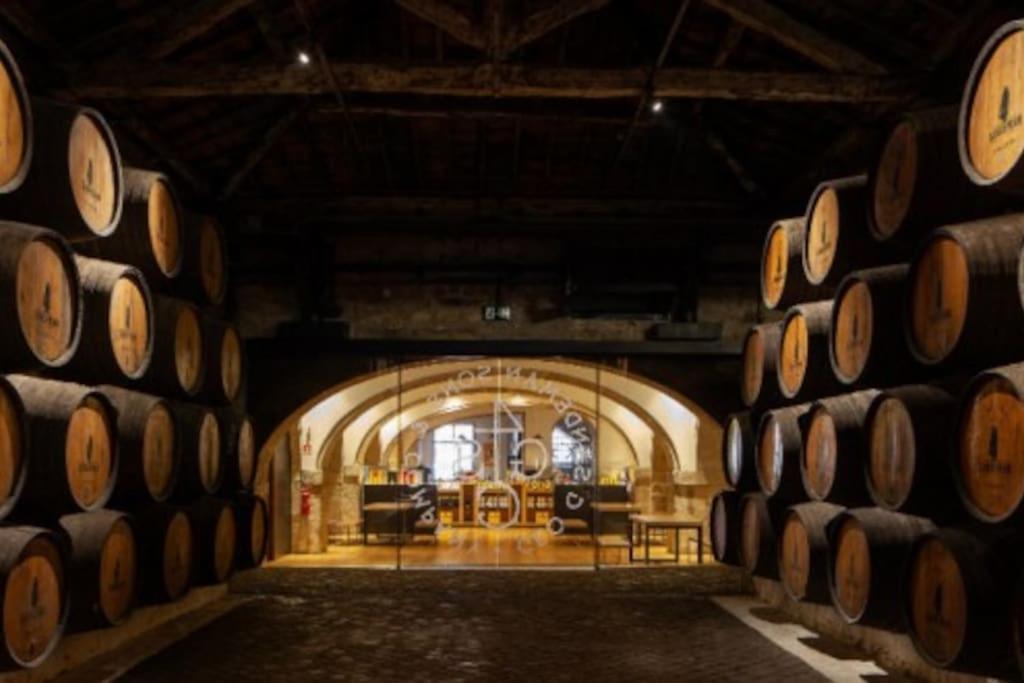 Loft In The Historic Center Of Downtown Apartment Porto