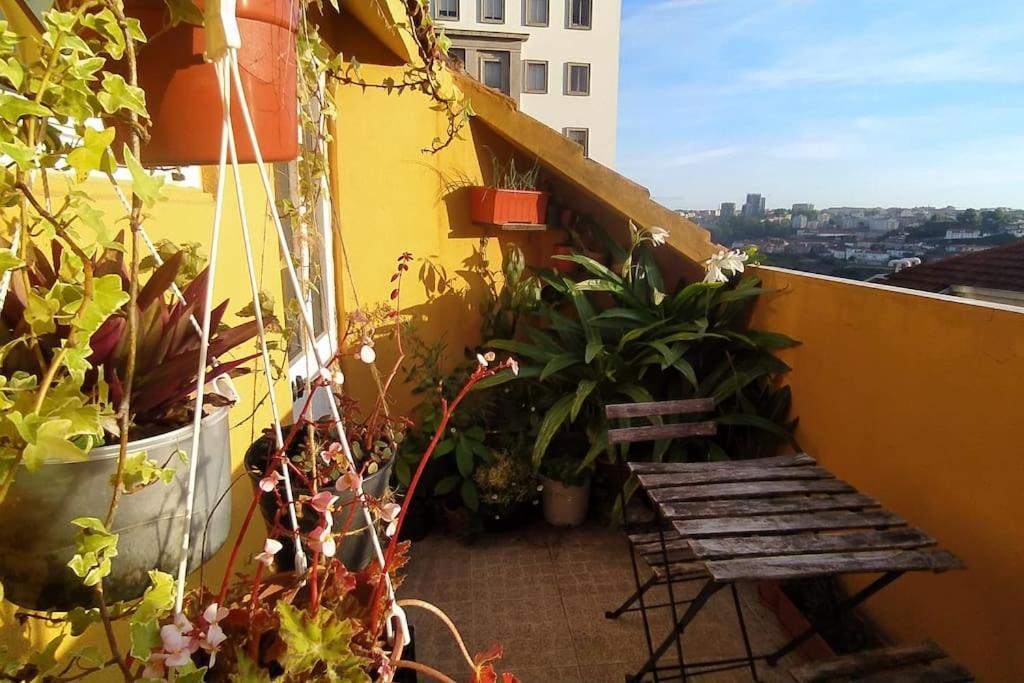 Cordoaria Douro View Apartment *