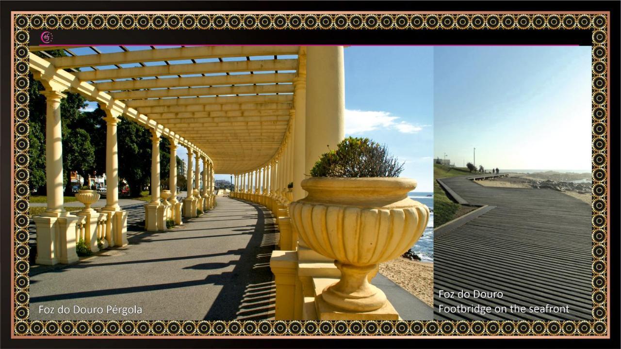 Jaguar - Airport To And Center And Vice-versa Is A Free And Continuous Shuttle Service From 7am To 8pm 4*