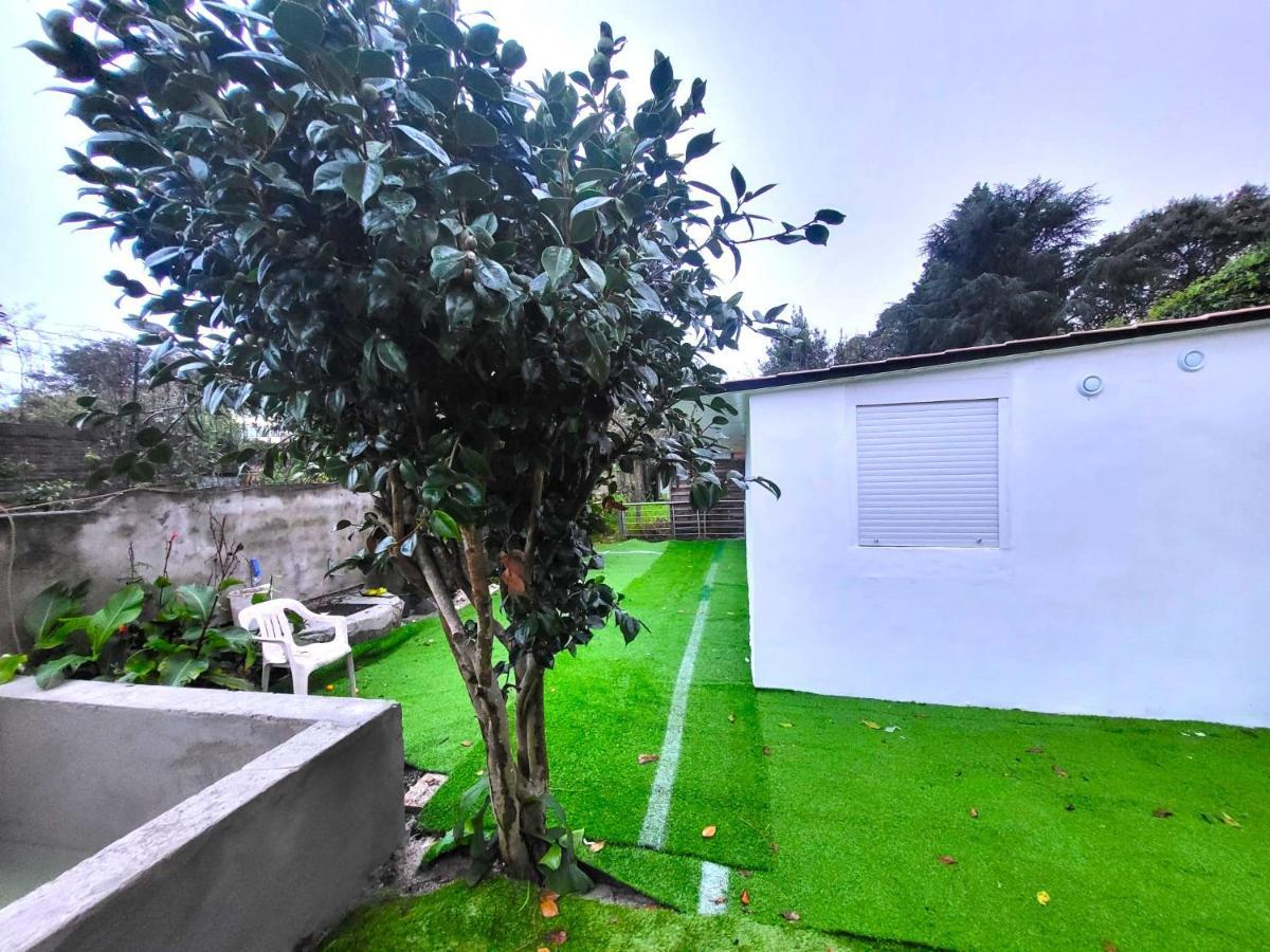 Bela - Center Garden - 3 * Porto