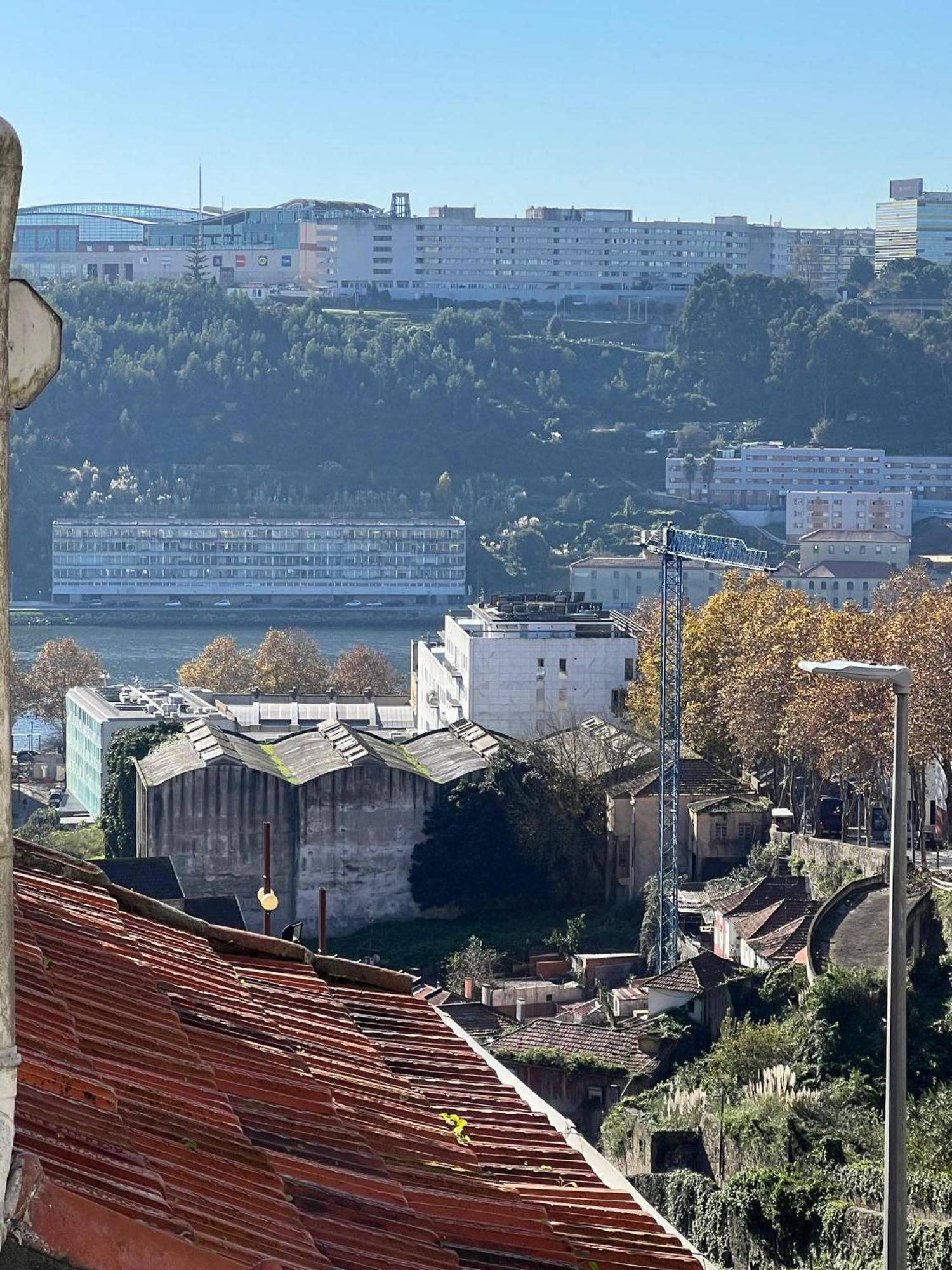 Cativo Flat - Lovely 2 Bedroom Duplex In Apartamento Porto
