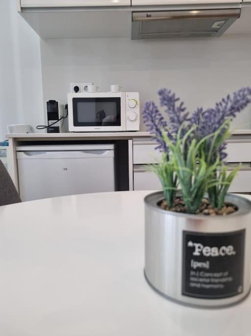 Seni's House Apartment Porto