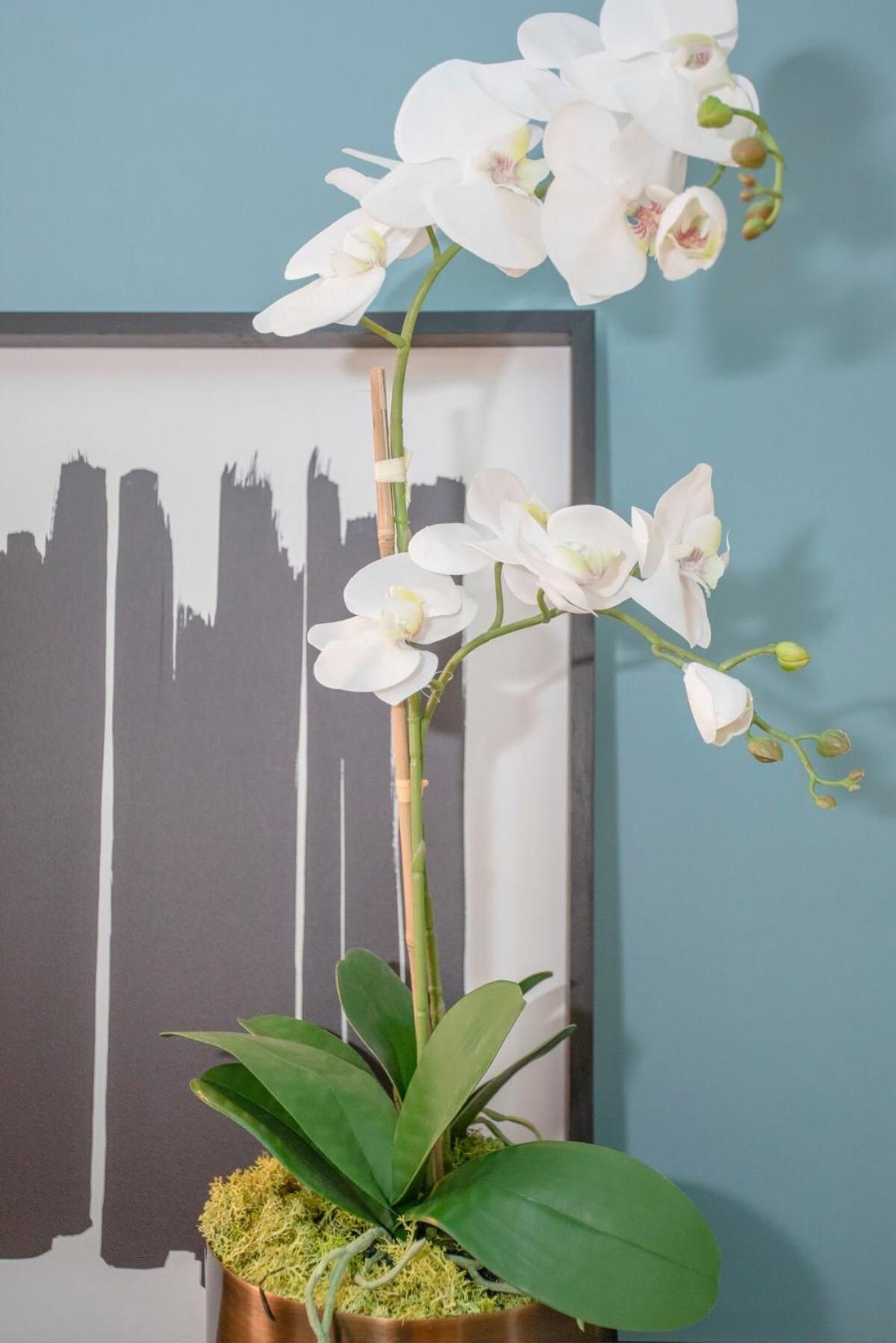 Liiiving In - Ribeira Design Appartement *