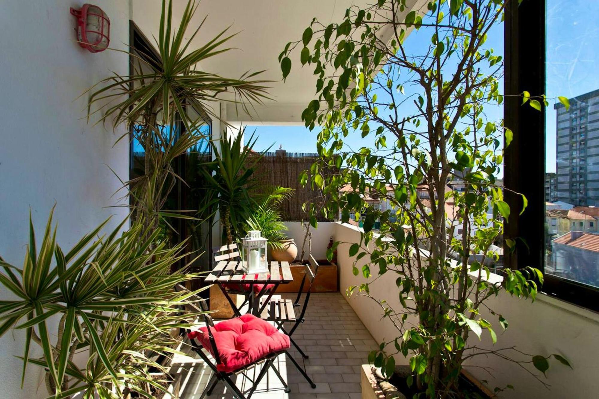 Spacious In With Terrace Apartment *