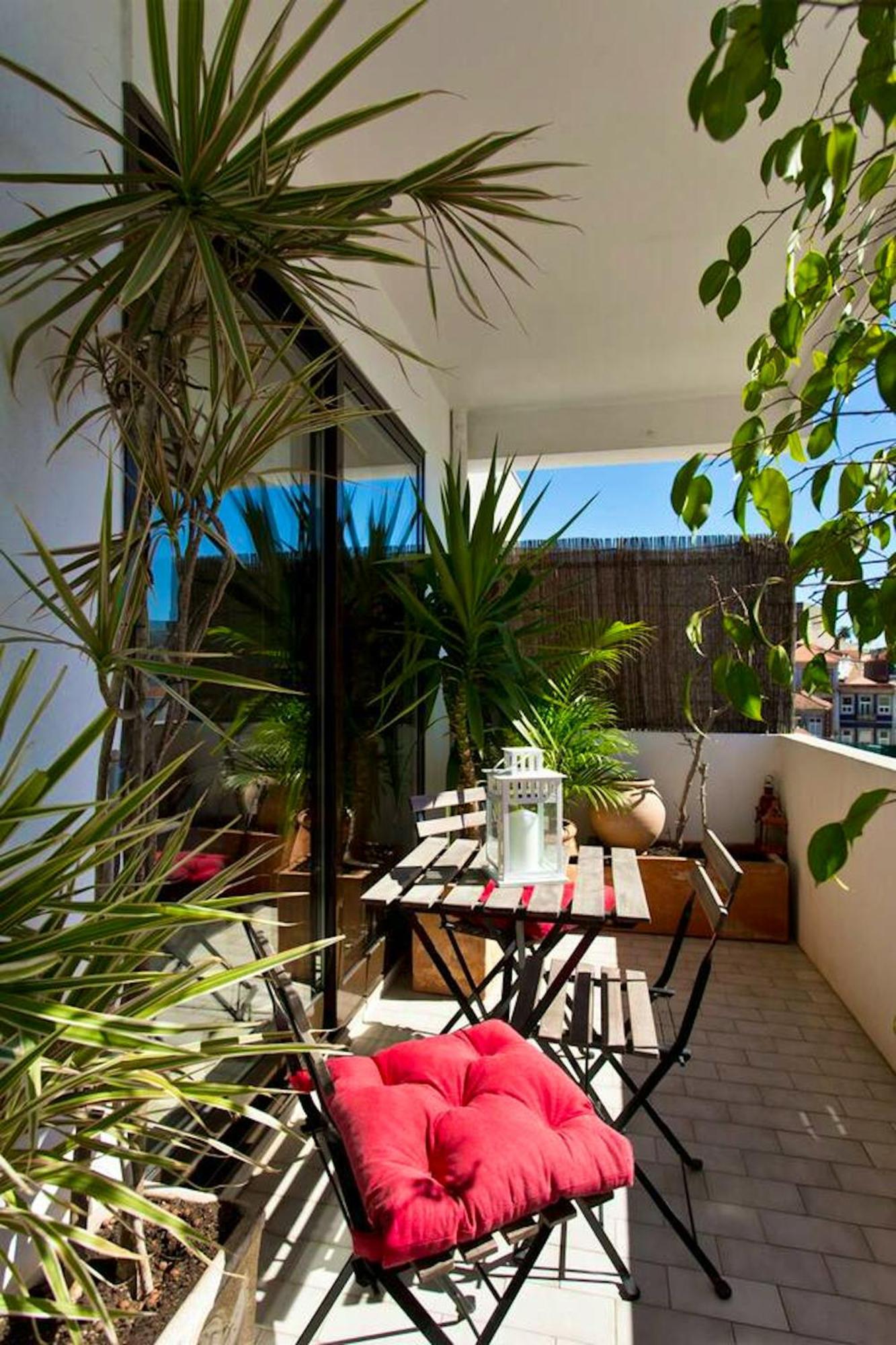 Apartment Spacious In With Terrace