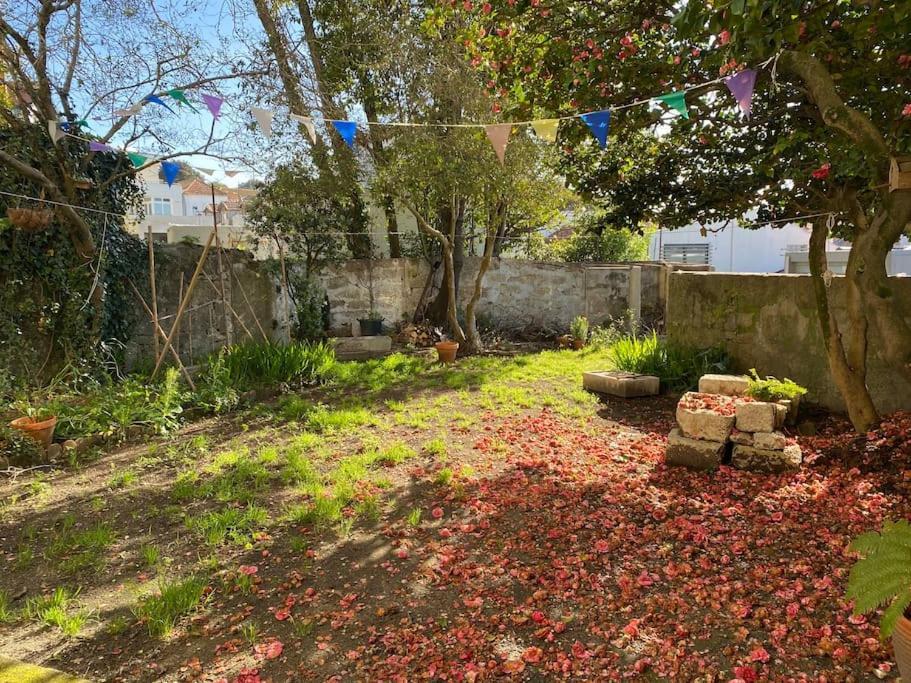 Casa Astoria - Centre Historical Building With Amazing River View *