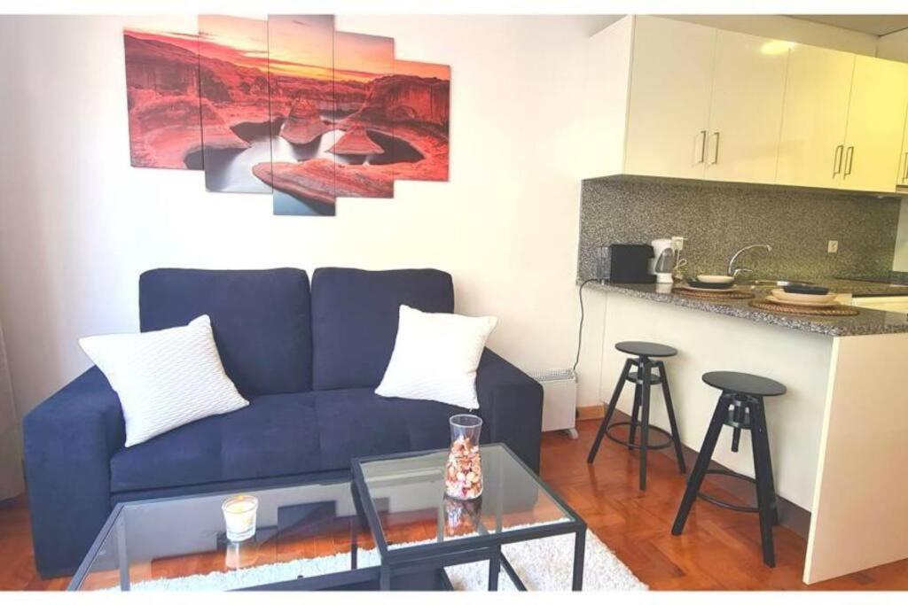 Spacious Flat In The Center Apartment