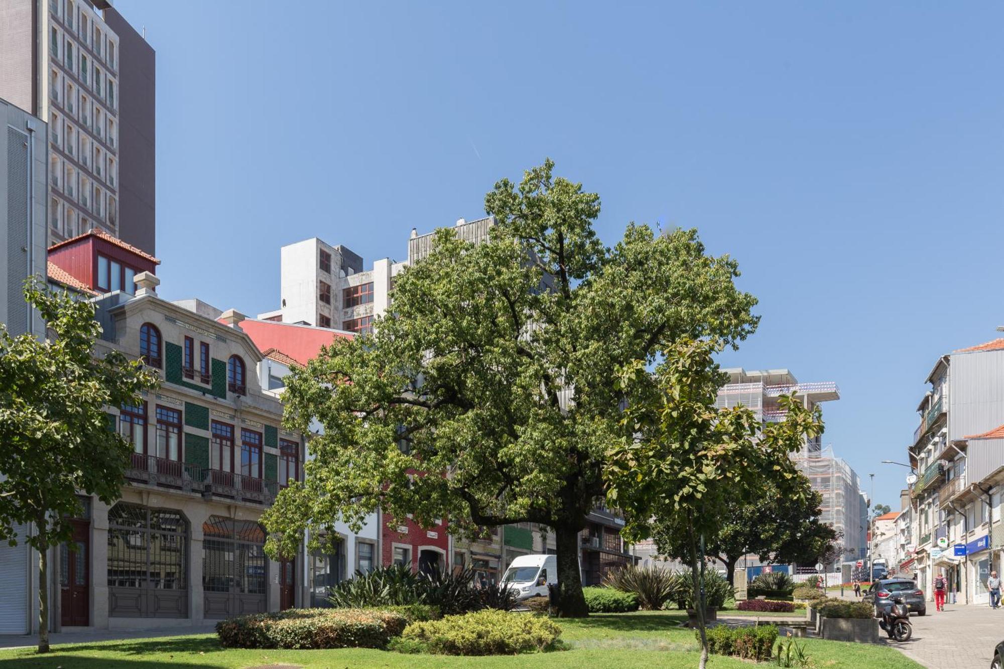 Apartment Qp Trindade