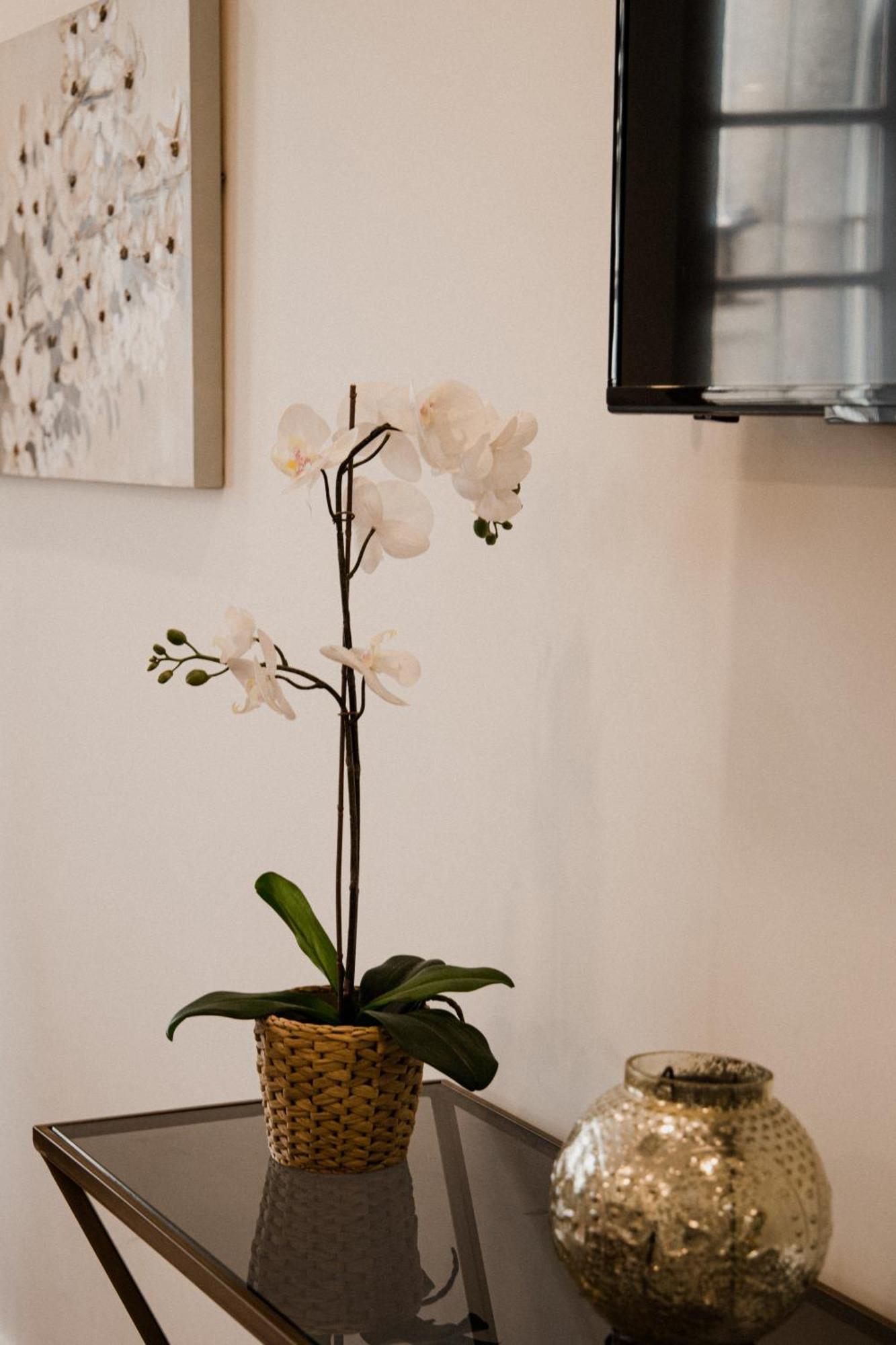 Bruval Premium - Se Apartamento Porto