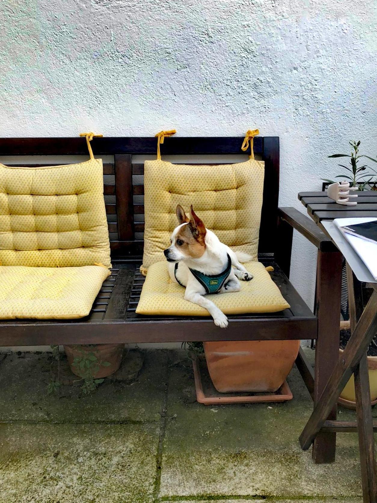 St. Johns Alley Of Poetry And Imaginary Cats Appartement Porto