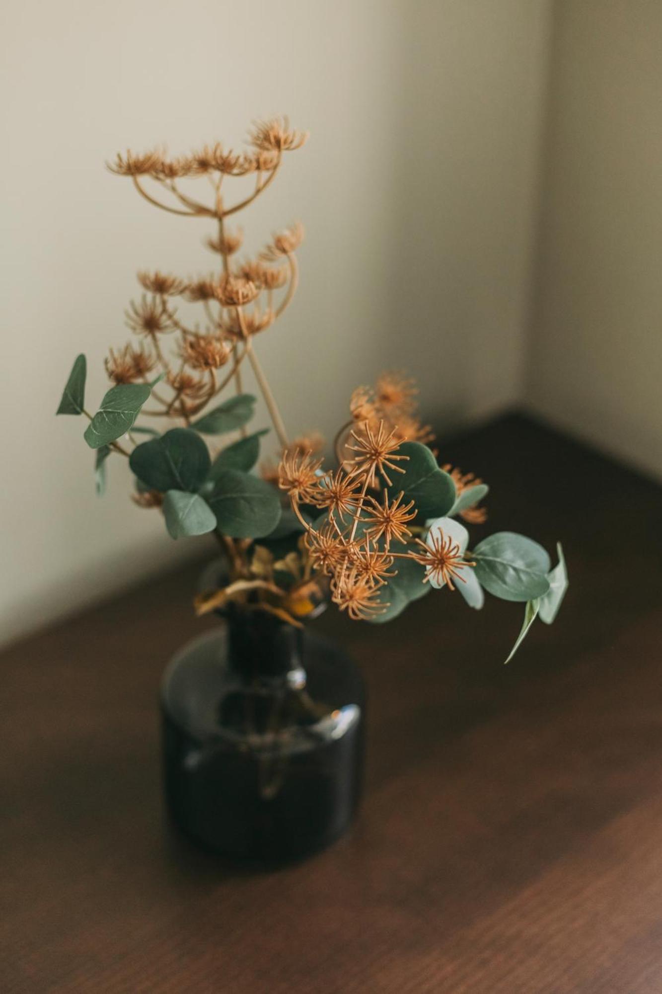 Sol Apartment