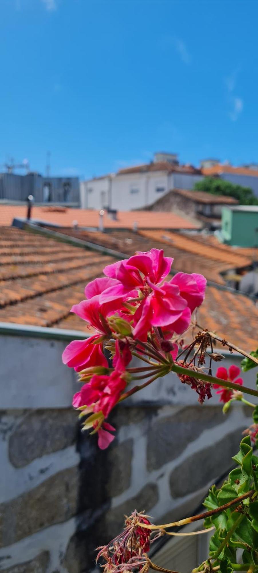 Kirashouse * Porto