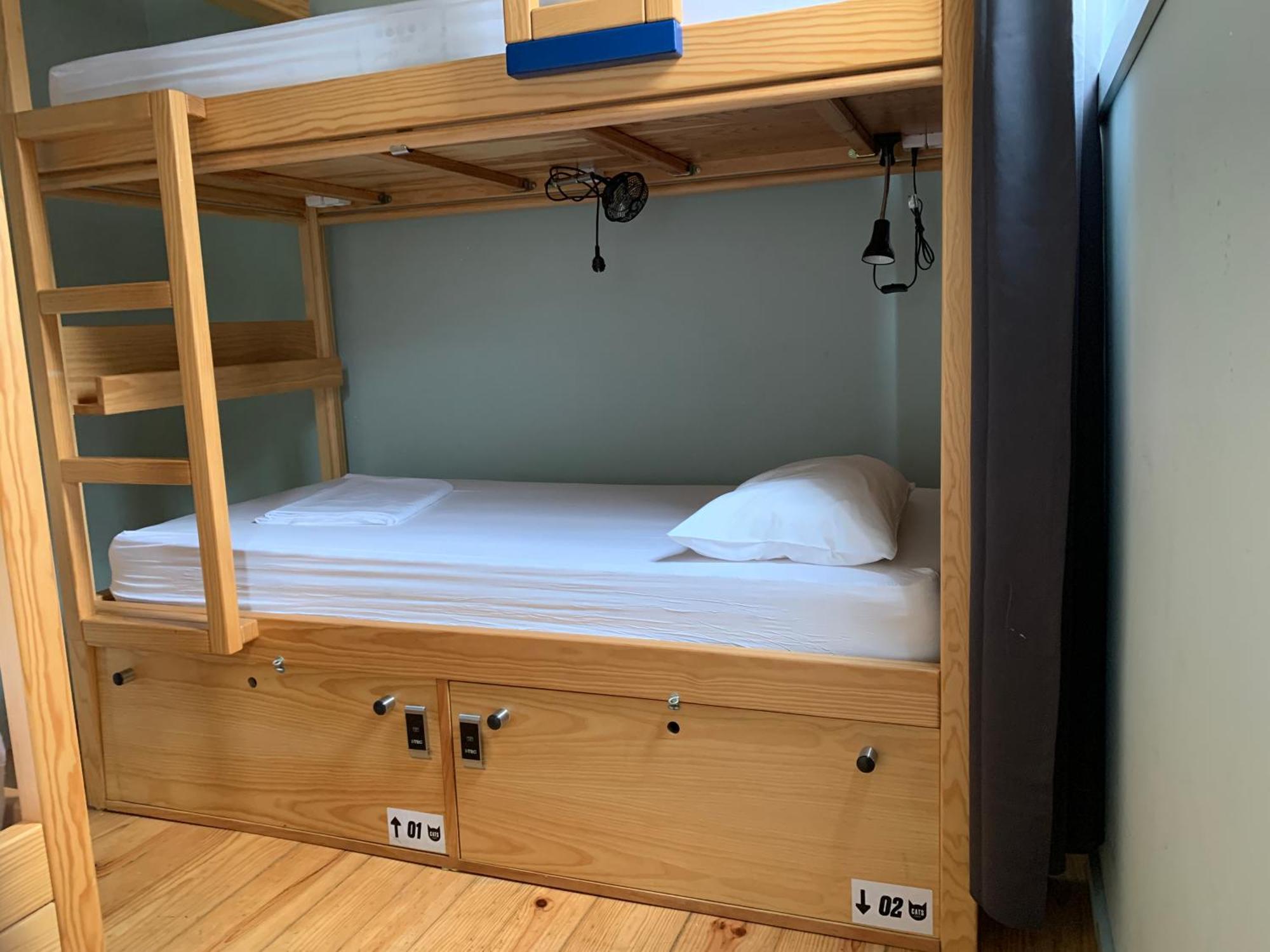 Cats Hostel *