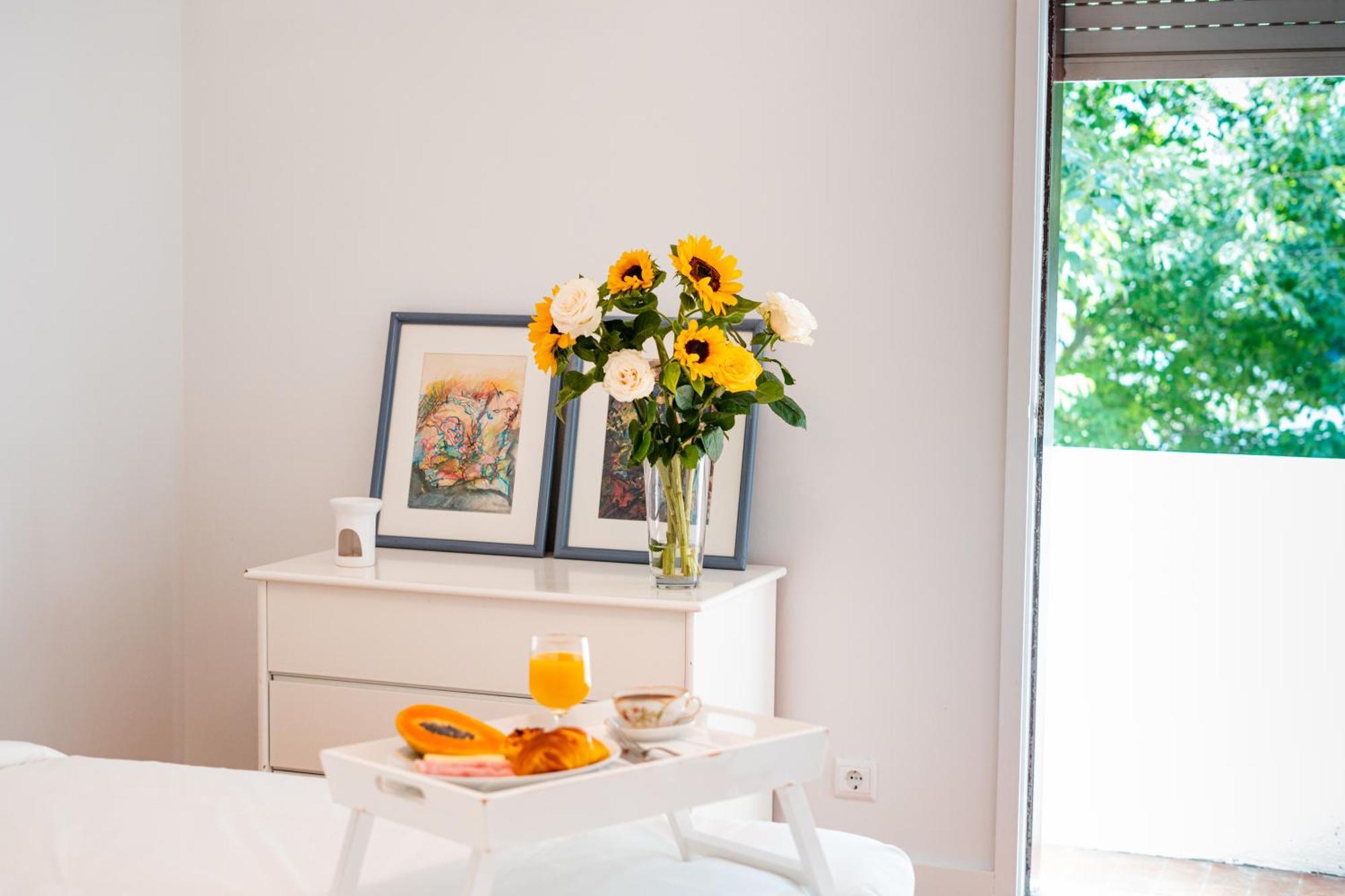 Frühstückspension Seaside Elegance And Tranquility: Your Luxurious Getaway *