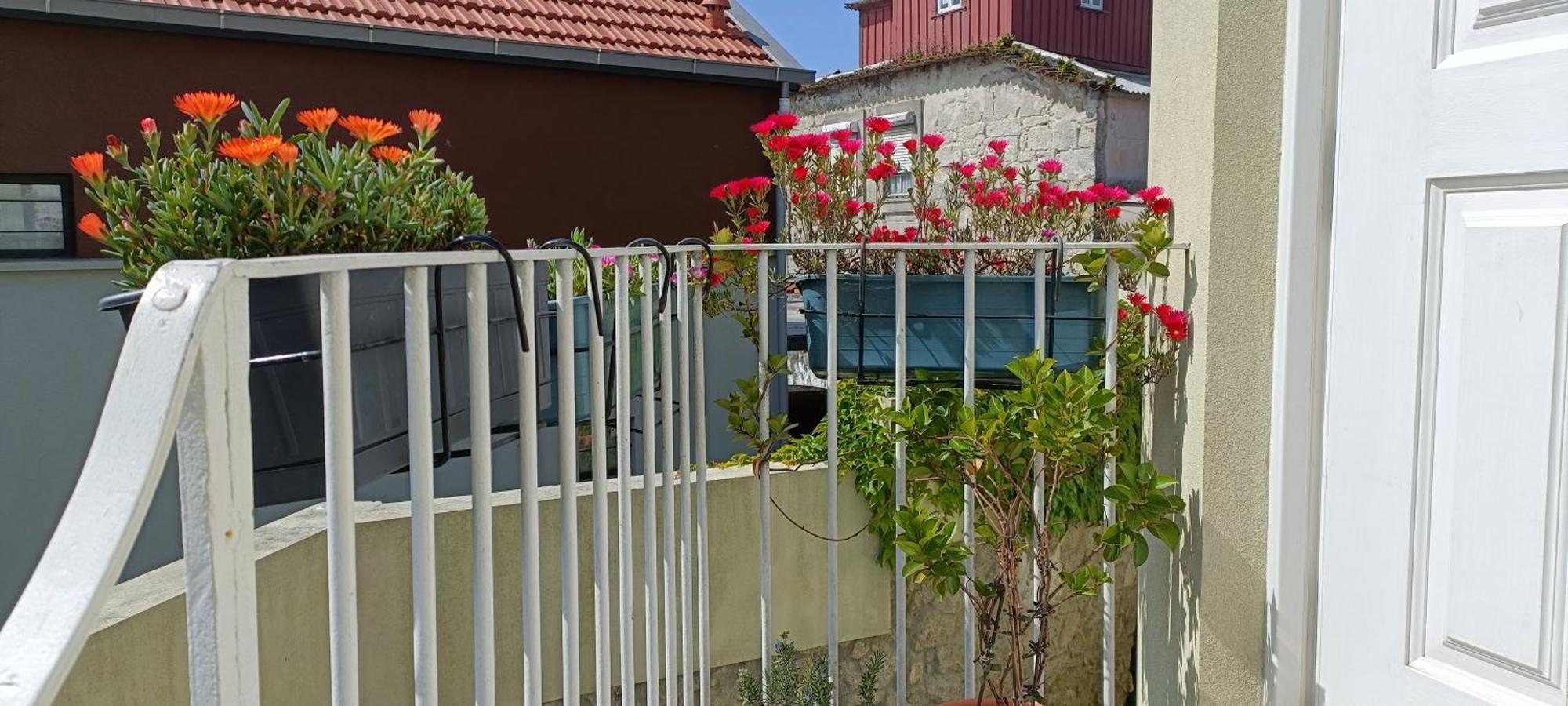 House / Casa Porto