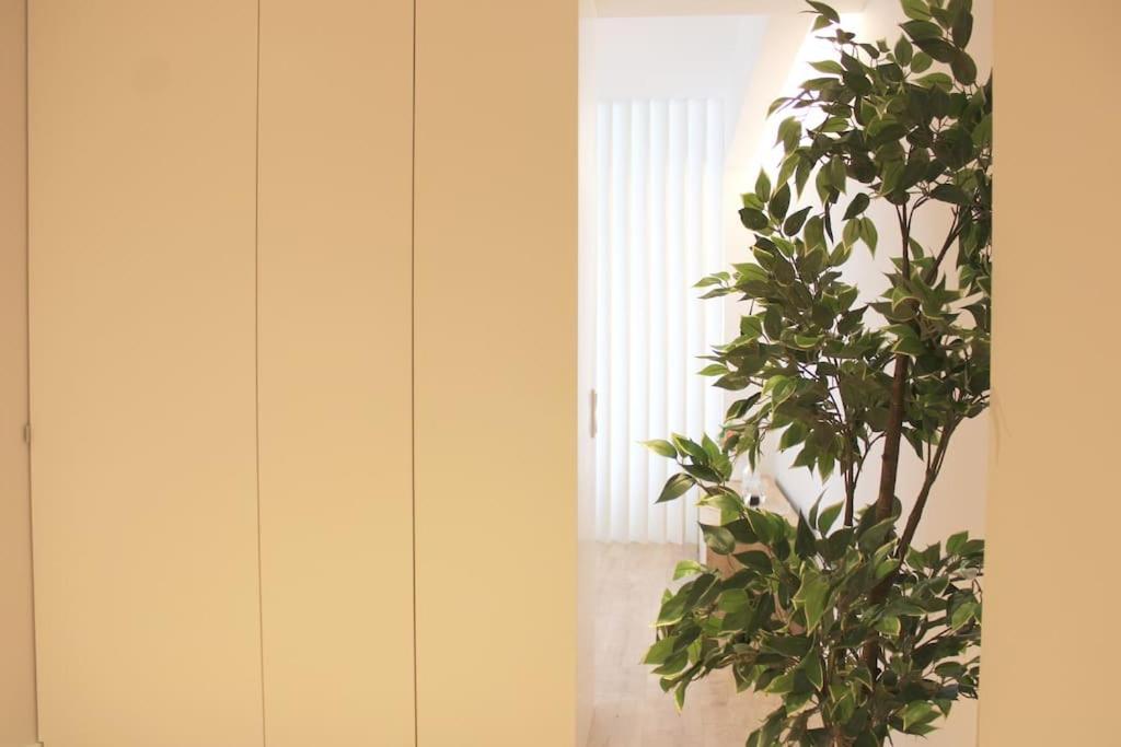 Apartment Marques Center Flat