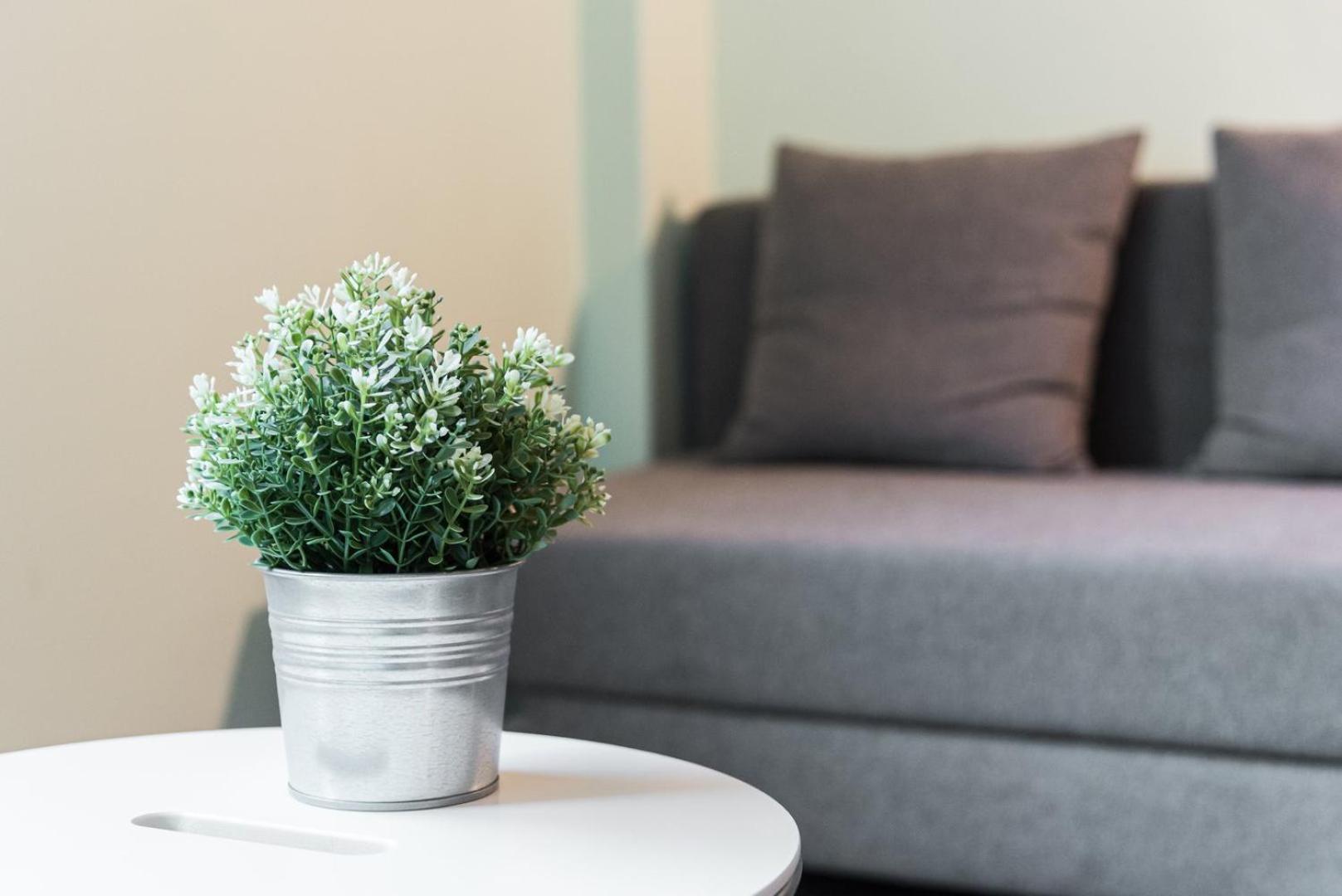Apartment Guestready - Wellspring Bloom