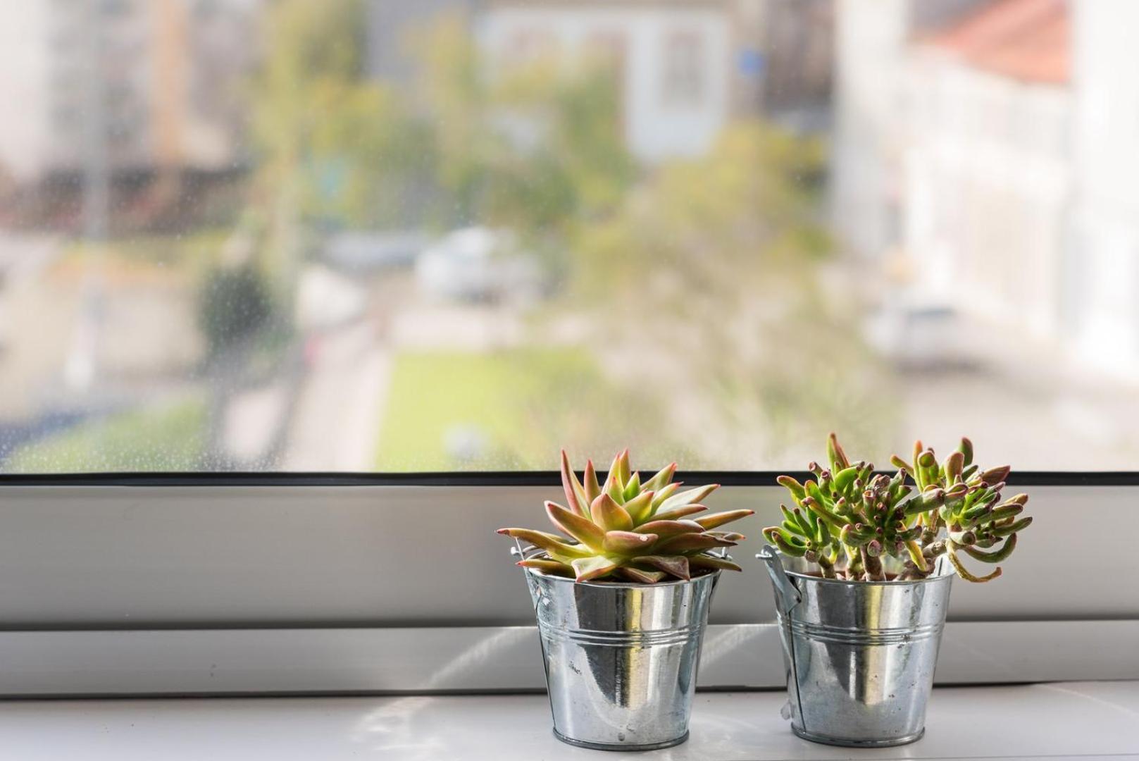 Guestready - Assuntos De Recreio * Porto