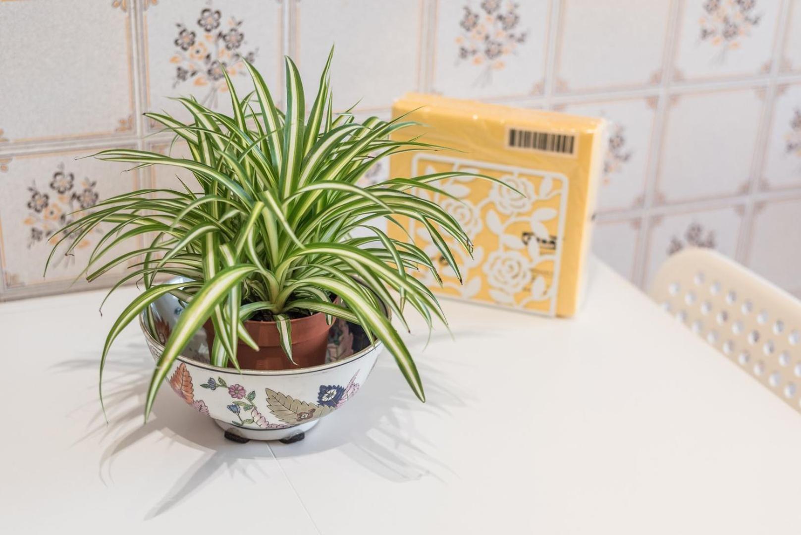 Guestready - Eclectic Haven In The Heart Of * Porto