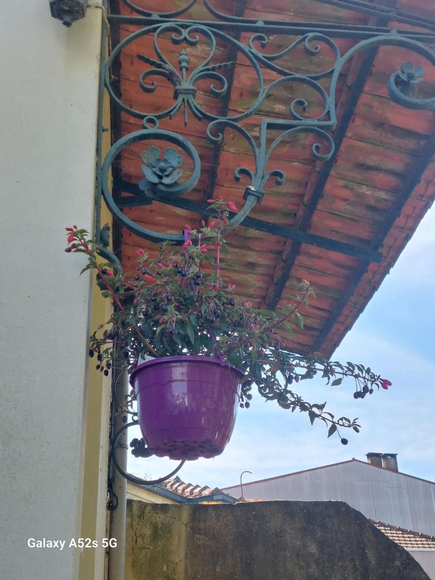 Casa Portugueza Experience Porto