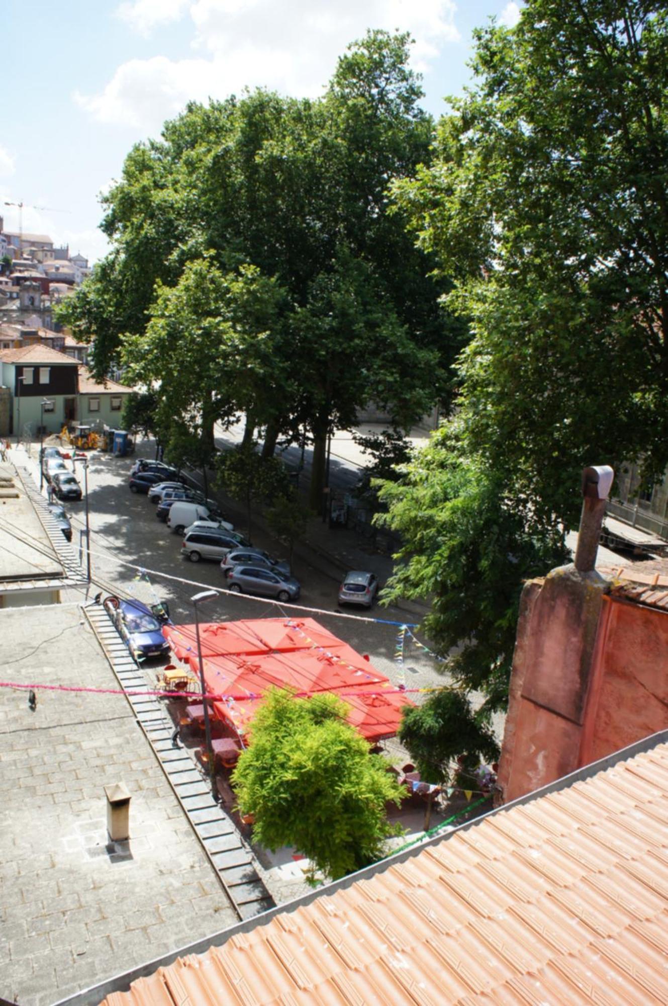 Alfandega