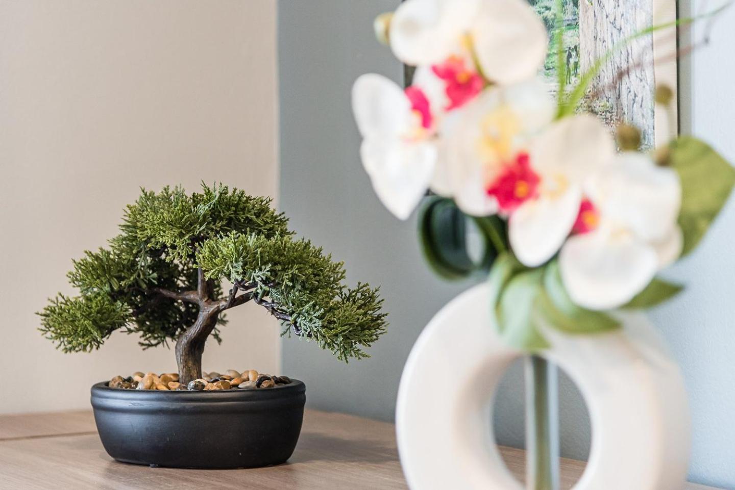 Guestready - Sound Of Nature - T1 Boavista Apartment *