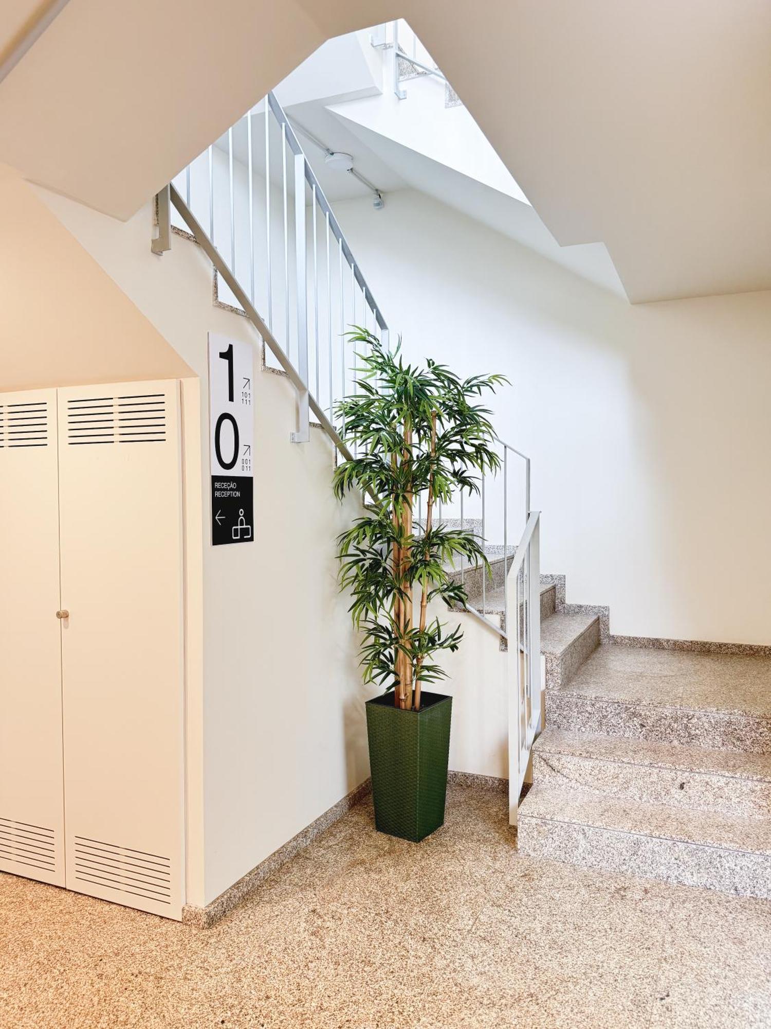 Apartment Large Foz Cool Living Porto