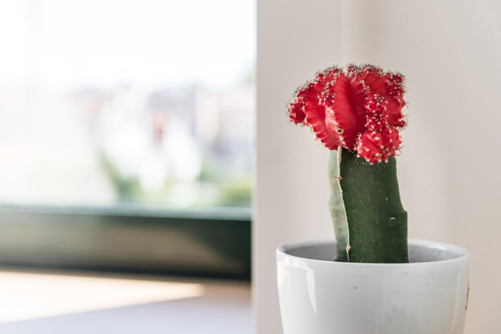 Guestready - Everflowing Apartment Porto