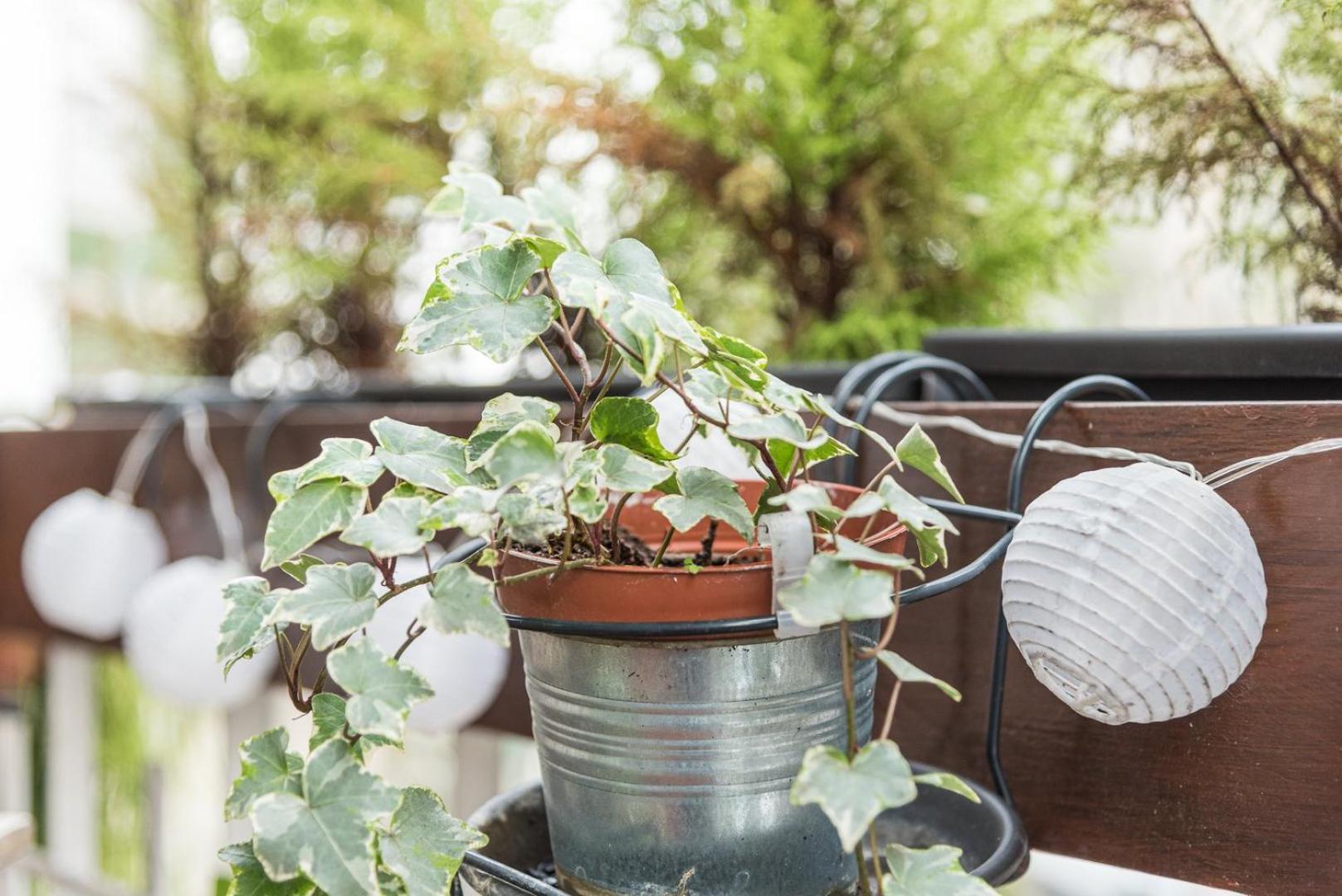 Apartment Guestready - The Hackberry