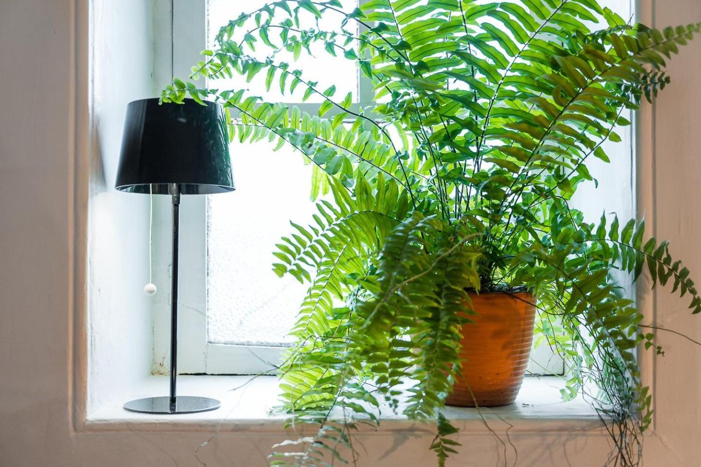 Guestready - Bohemian Mola Orange In Bonfim Apartment Porto