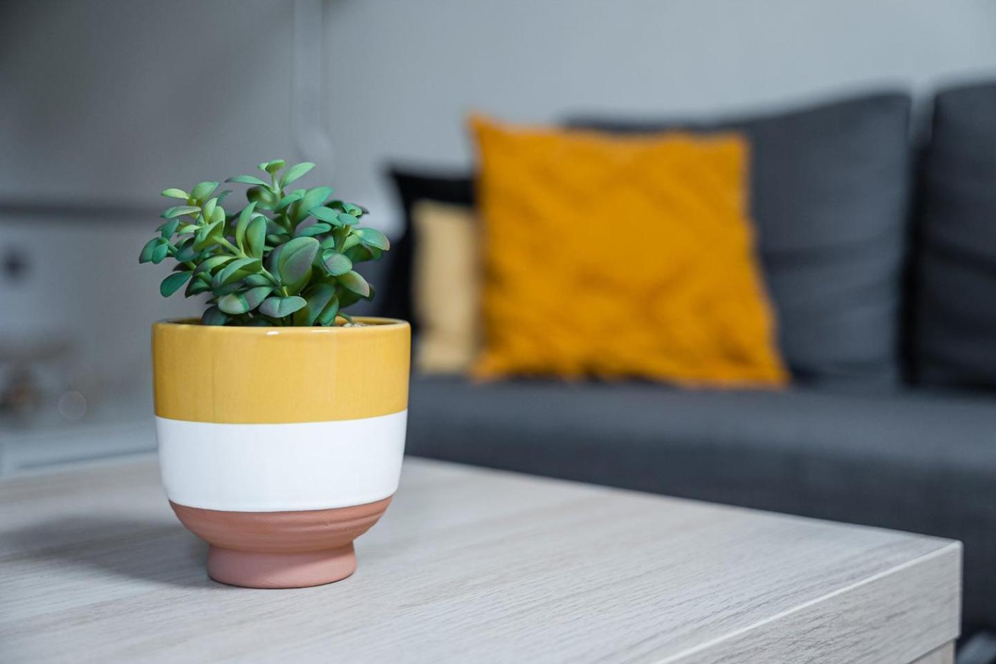 Apartment Guestready - Sao Bras Mezzanine *