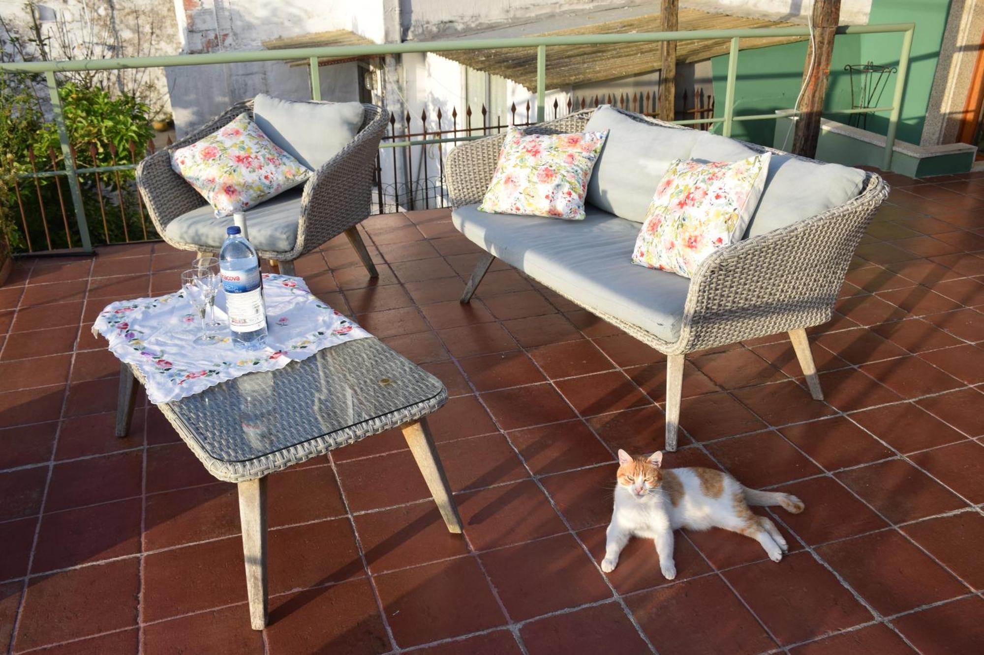 Green House Bed & Breakfast Porto