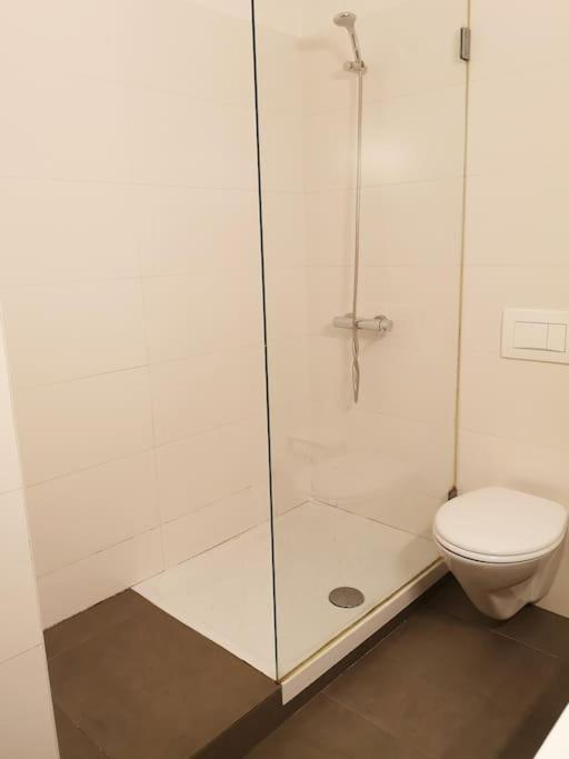 Lp Center Apartment
