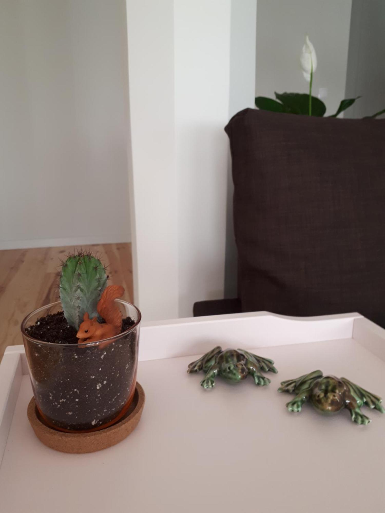 Apartment Nascente *