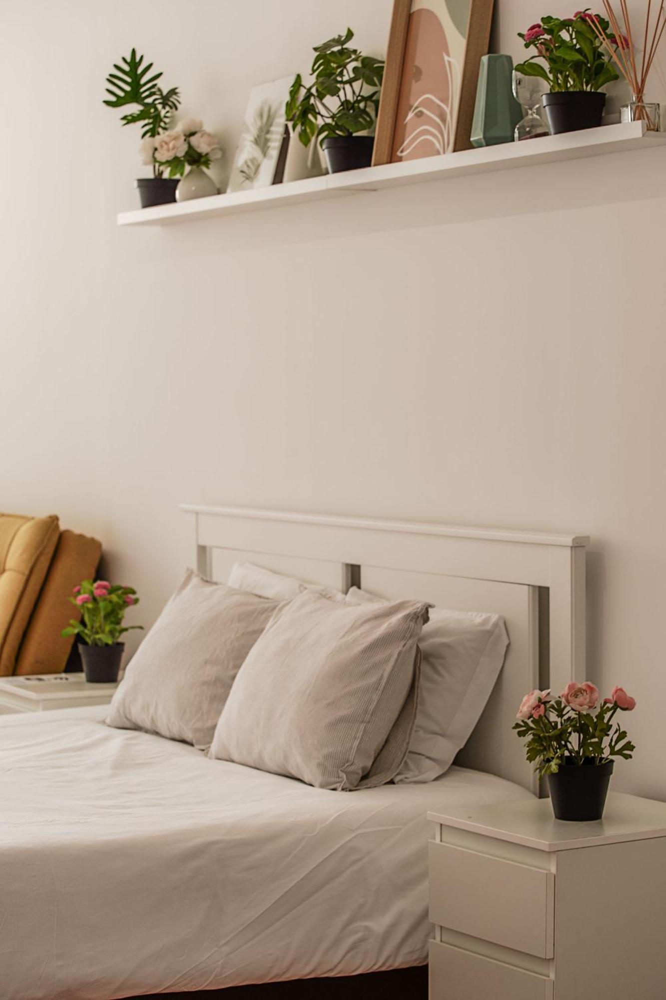 Apartment Travel & Live Aliados *