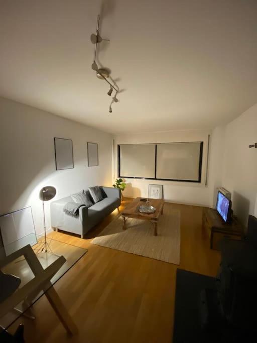 Apartment Swimming Pool With Private Garage