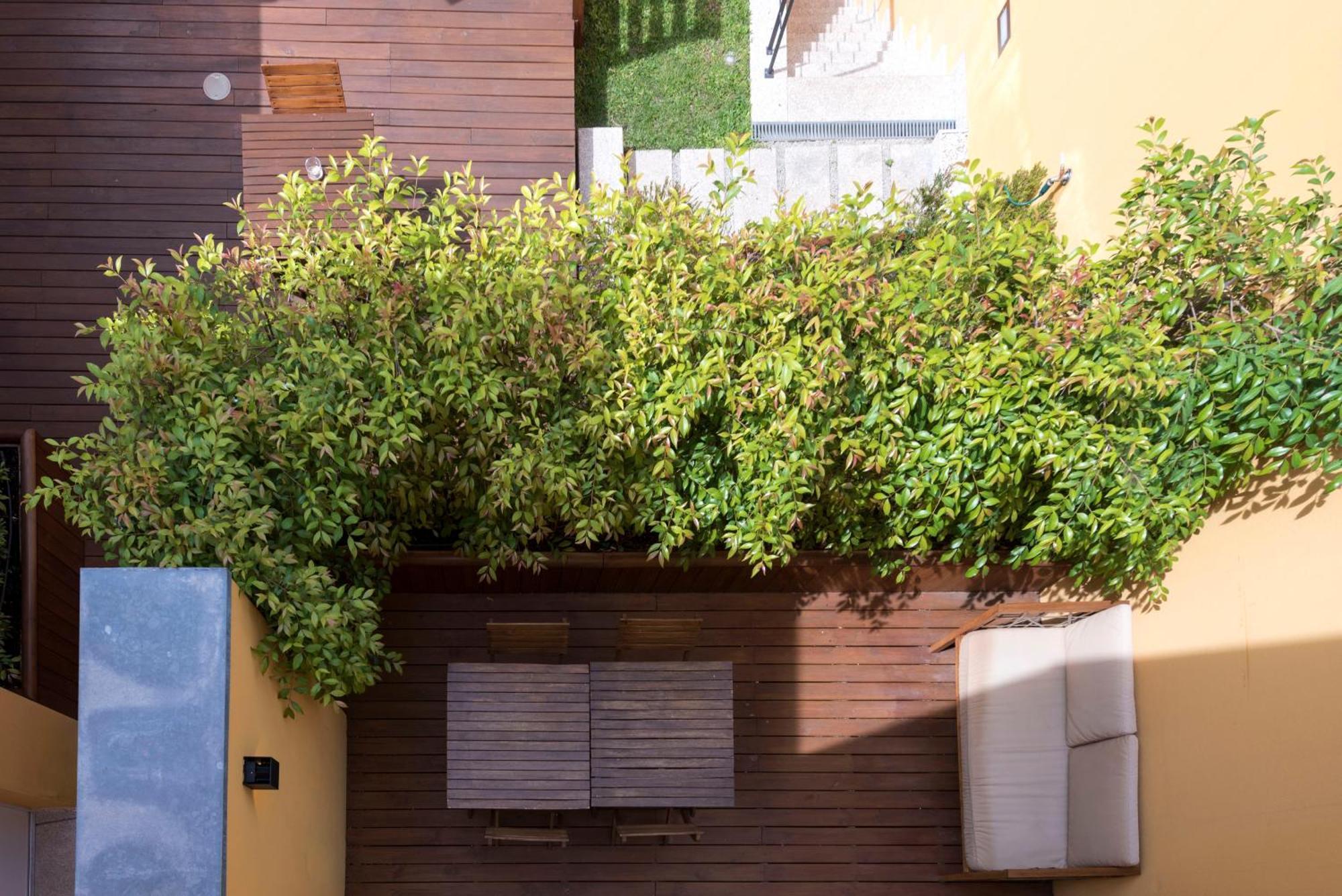 Bloom House By Sweet * Porto