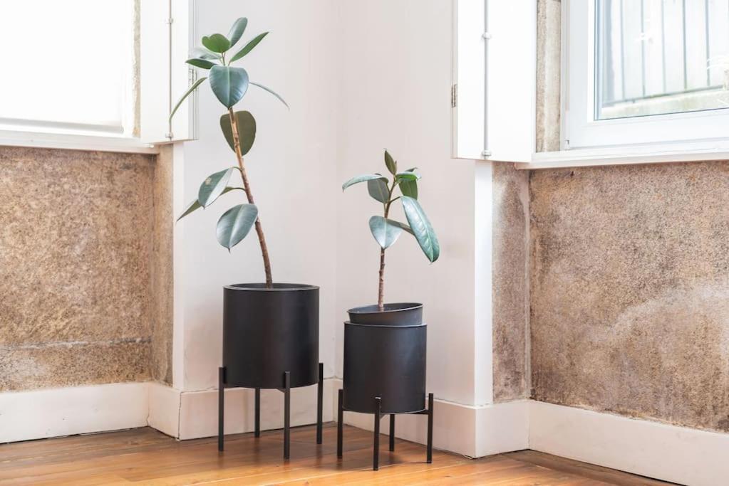 Casa B